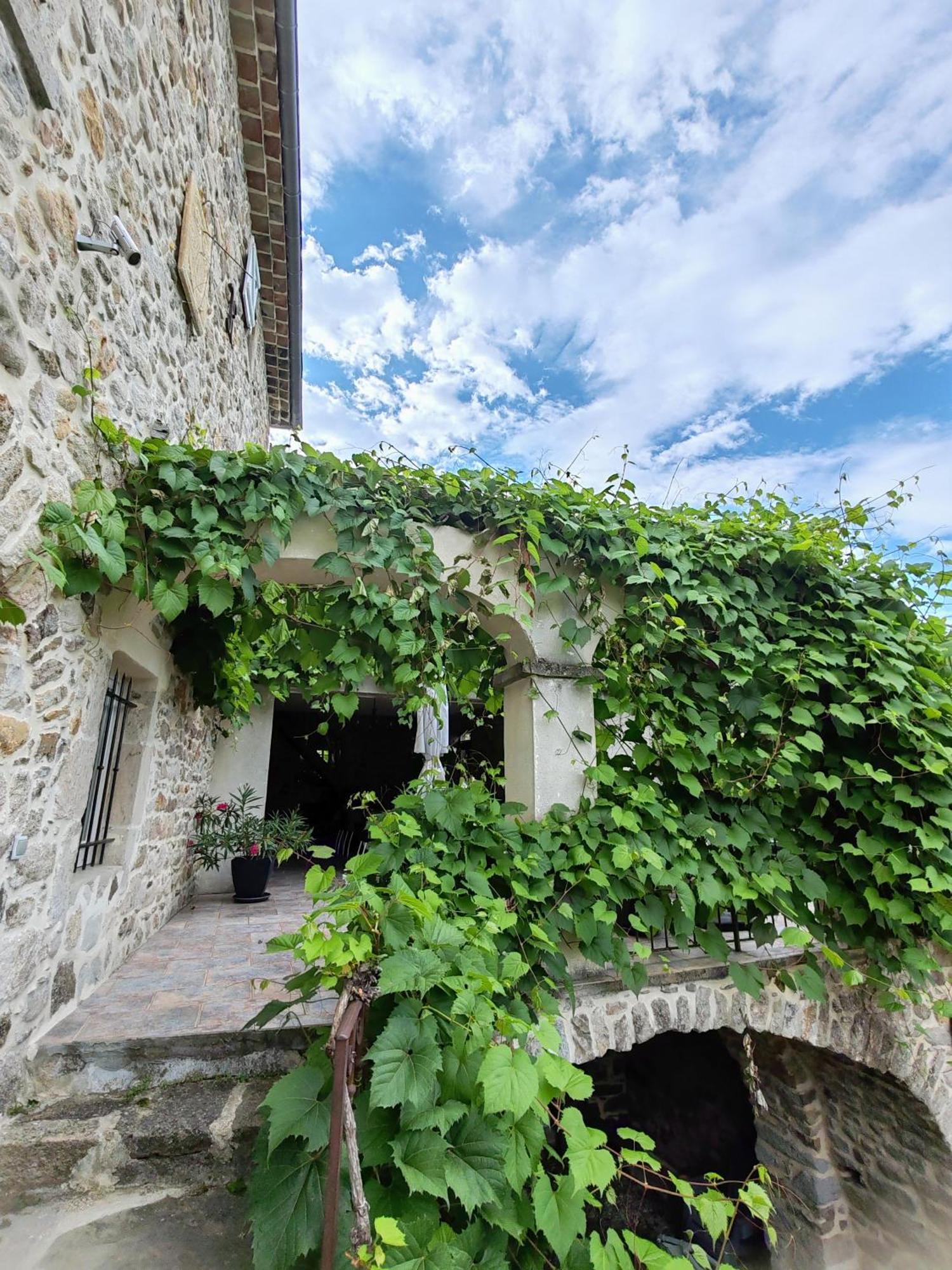 Le Mas De La Musardiere Chambres D Hotes Les Assions Экстерьер фото